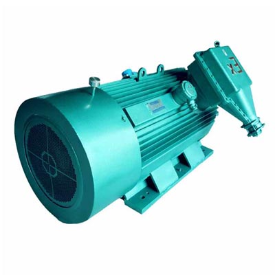 YBX2系列高壓隔爆型高效率三相異步電動(dòng)機(jī)
