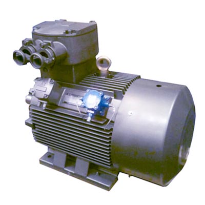 YBE2系列隔爆型高效率三相異步電動(dòng)機(jī)