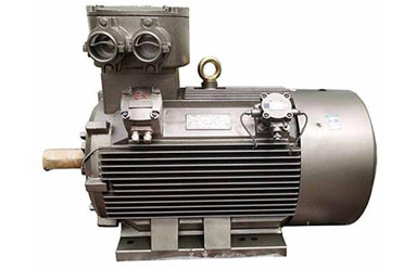 防爆高效電動(dòng)機(jī)