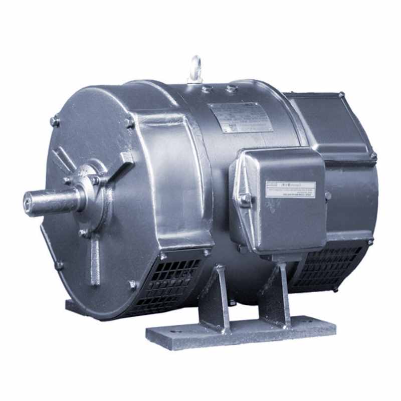 客觀分析2025年三相異步電動機發展趨勢